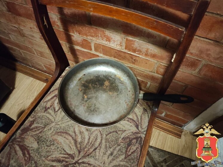 Муж ударил жену сковородкой и попал под уголовное дело в Тверской области