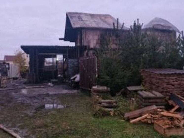 На пожарище в Гостилицах обнаружили тела мужчины и двух детей