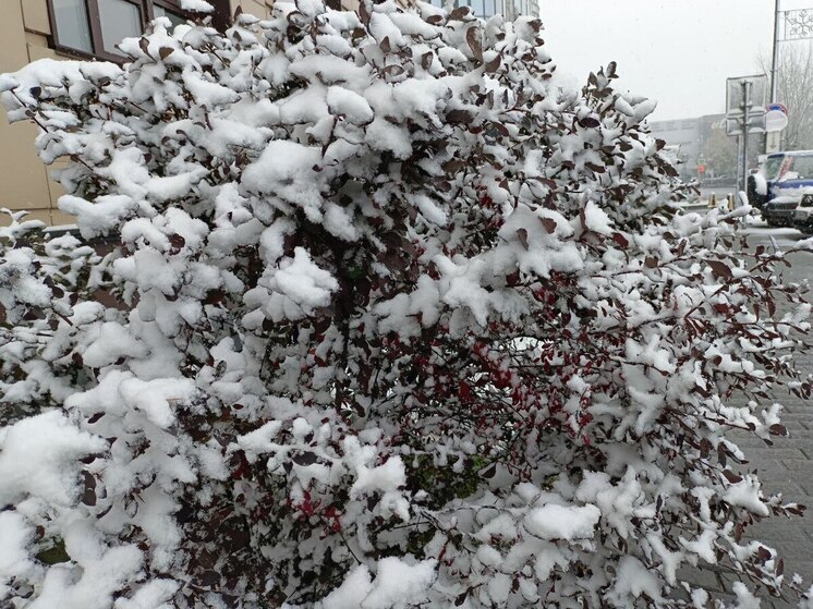 Мокрый снег и похолодание захлестнут Алтайский край в праздничные выходные