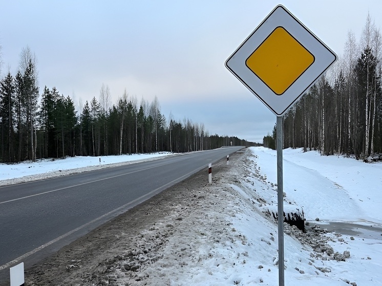  На автодороге Коноша-Вельск стартовали работы в рамках капремонта