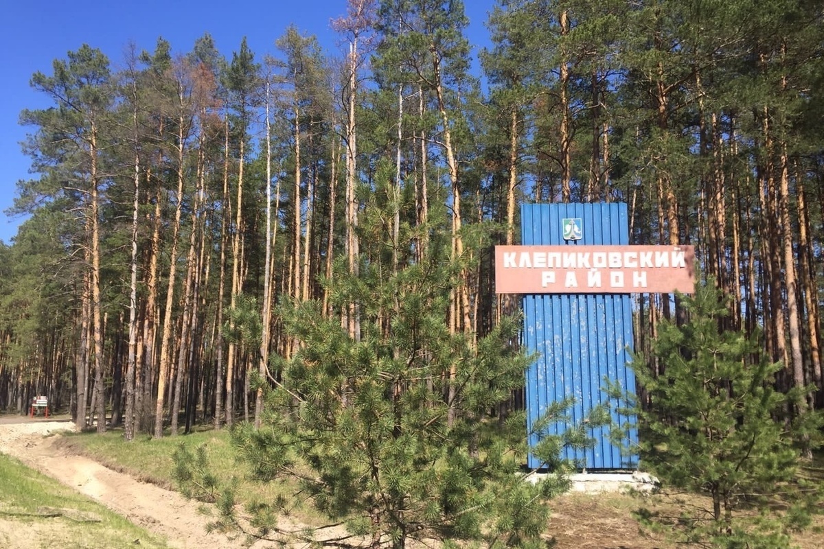 В Клепиковском районе выставили на продажу усадьбу за 290 млн рублей