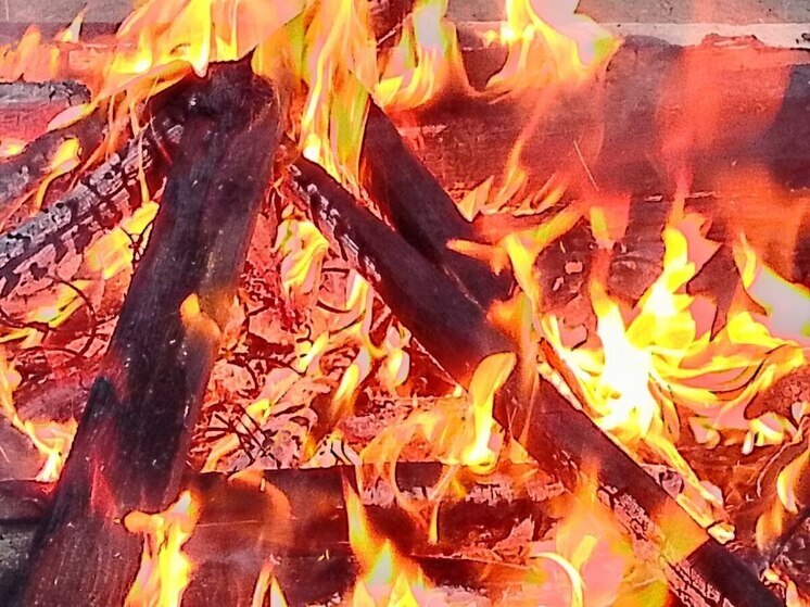 Пожар в деревне Кологриво уничтожил баню и автомобиль