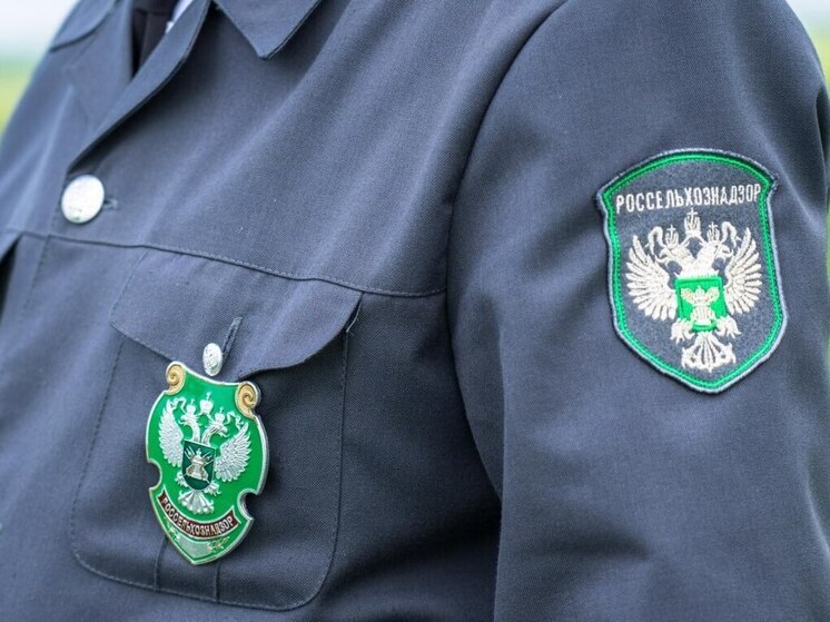 В Запорожской области выявлена перевозка 38 тонн пшеницы без карантинного сертификата