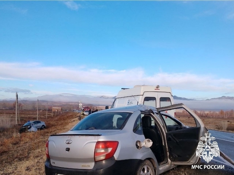 В Туве 2 ноября  спасатели выезжали на 2 ДТП, в которых пострадали малолетние дети