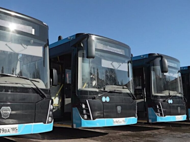 В Запорожской области на городские маршруты вышли 140 новых автобусов