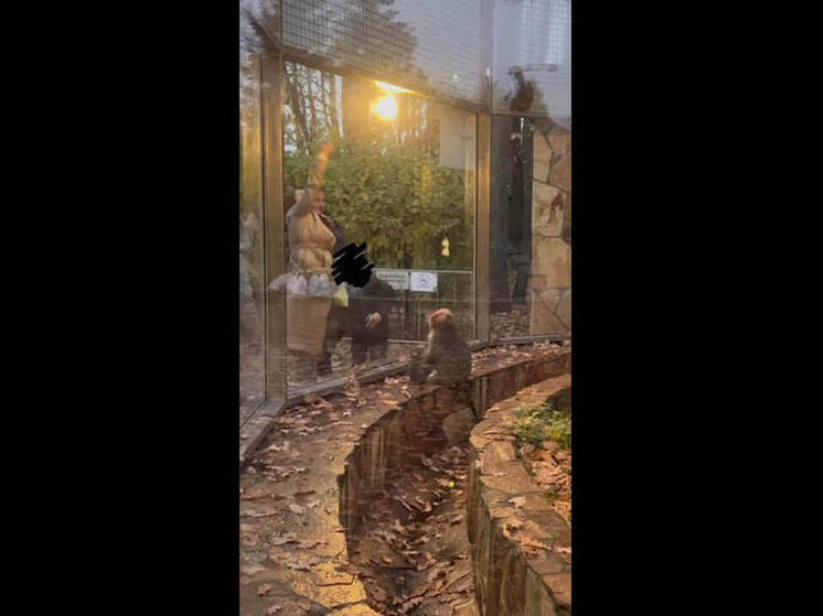 В Петербурге зоопарк напомнил легкомысленным гостям о запрете кормления животных