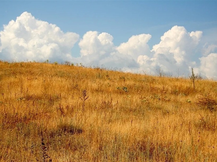 Приметы завтра расскажут о погоде в Калмыкии