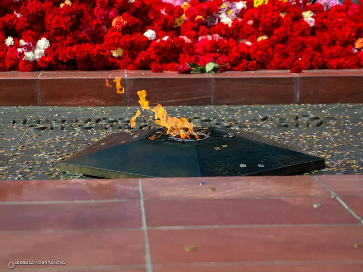 Руководитель Петрозаводска представила обновленное освещение мемориала у Вечного огня