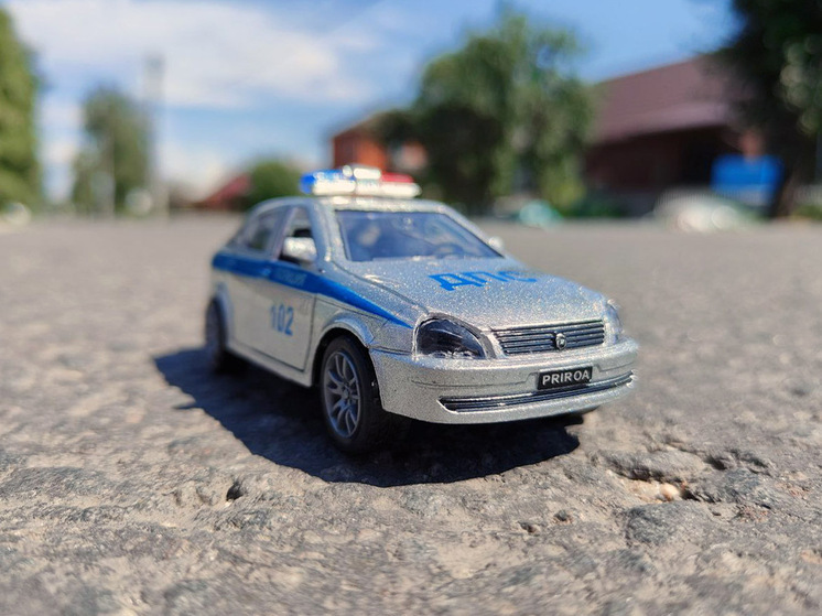 В Суджанском районе мужчину осудили за обгон по встречке