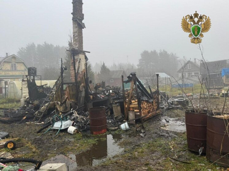 На пожаре в Лужском районе погибли женщина и двое детей