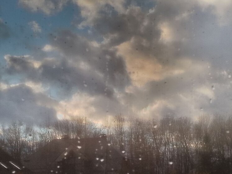 В Ленобласти 3 ноября потеплеет до +9 градусов