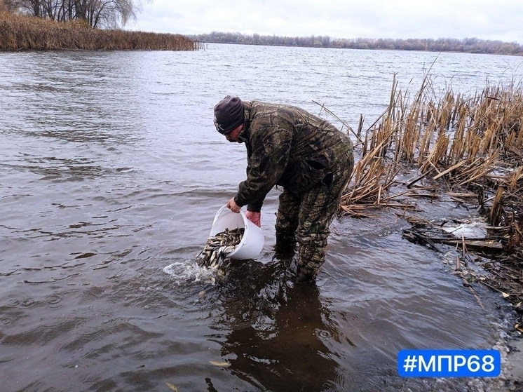 В Челнавское водохранилище выпустили более пяти тысяч молодых сазанов
