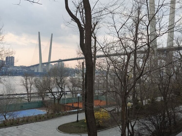 Во Владивостоке 3 ноября солнечно и без осадков