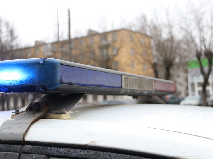 Из-за тумана в Тверской области сбили пешехода на обочине