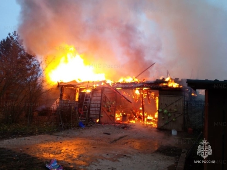 Пожарные около девяти часов тушили пожар в деревне в Лужском районе