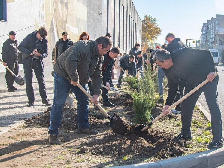 В Мелитополе высадили аллею деревьев ко Дню народного единства