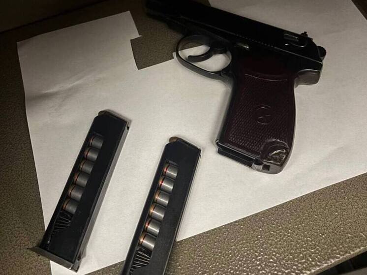 Пожилого петербуржца задержали за хранение 256 патронов в квартире