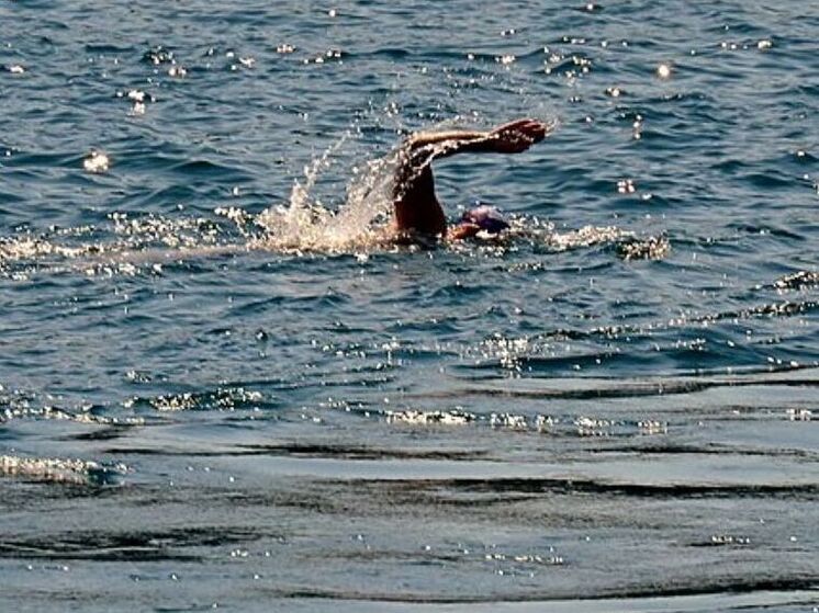 Родные пропавшего в Турции пловца Николая Свечникова, который пропал во время заплыва через Босфор 24 августа, объявили о вознаграждении в размере 500 тысяч турецких лир (965 тысяч рублей) за любую подтверждаемую информацию о его местонахождении