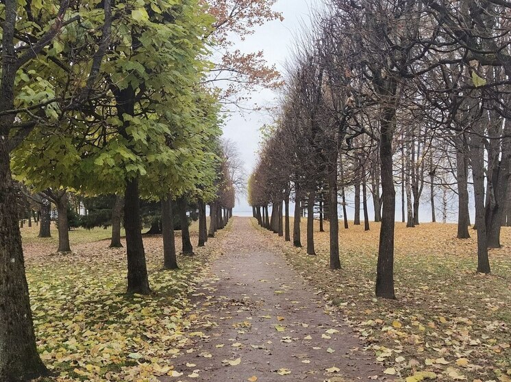 На Северо-Западе ноябрь обещает быть теплее обычного