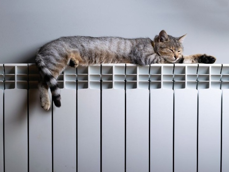 «Псковские тепловые сети» разъяснили правила изменения отопительных приборов в квартирах