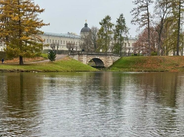 Вход в парк Гатчинского дворца стал свободным