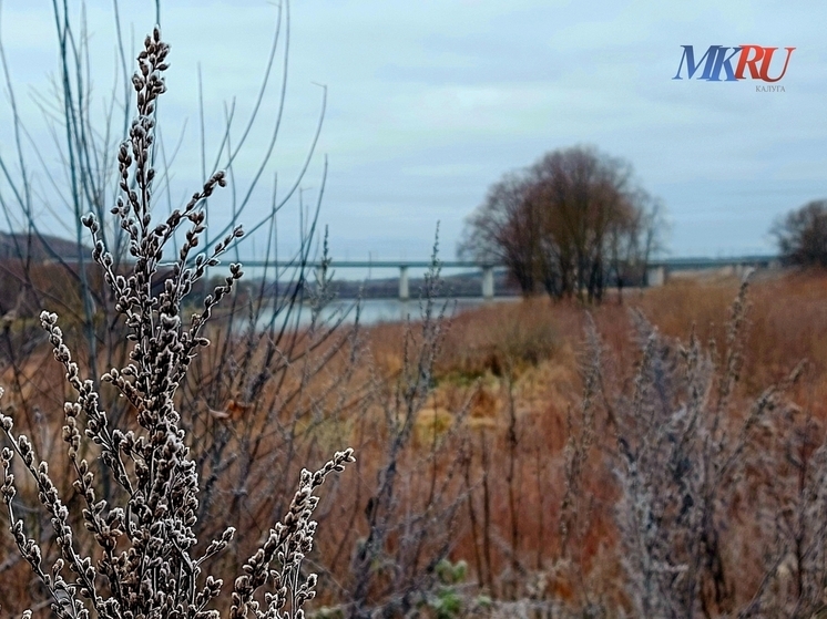 Слабый дождь ждёт калужан в понедельник