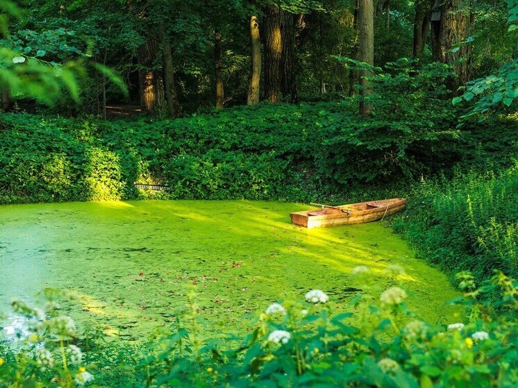 Туляки в литератклубе «Львиная доля XX века» обсудят Толстого и Сэлинджера