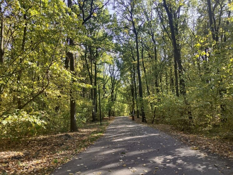 В Белгородской области потеплеет до 14 градусов в понедельник
