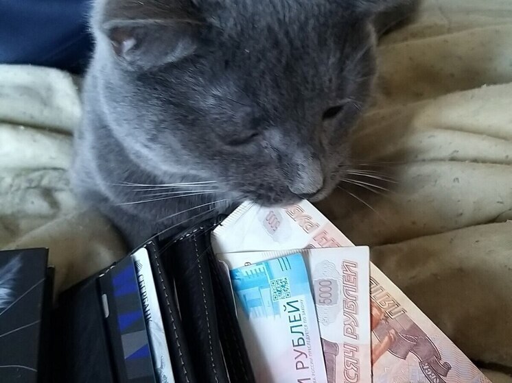 Две трети жителей Мурманска хотят компенсацию за неиспользованные дни отпуска