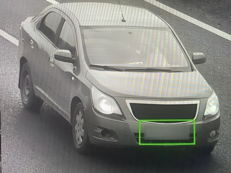 В Воронежской области задержали автомобилистку с 46 неоплаченными штрафами