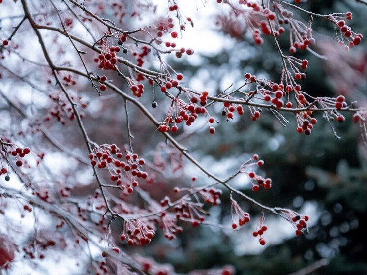 До -4 градусов будет в понедельник на Южном Урале