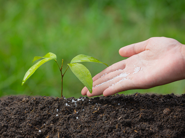 Тамбовские дачники смогут приобрести удобрения с маркировкой