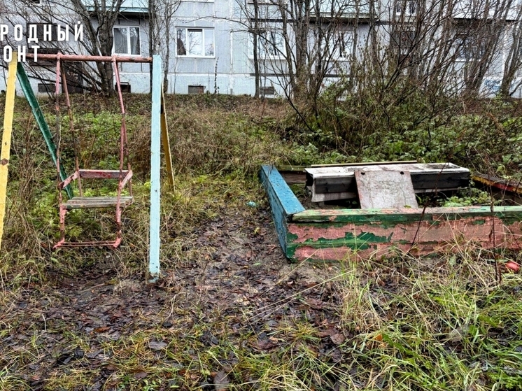 На улице Шевченко снесут «облезлое чудо» с прибитыми игрушками