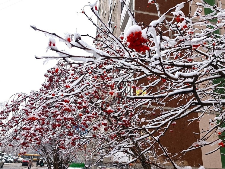 В Екатеринбург вслед за морозами придет оттепель