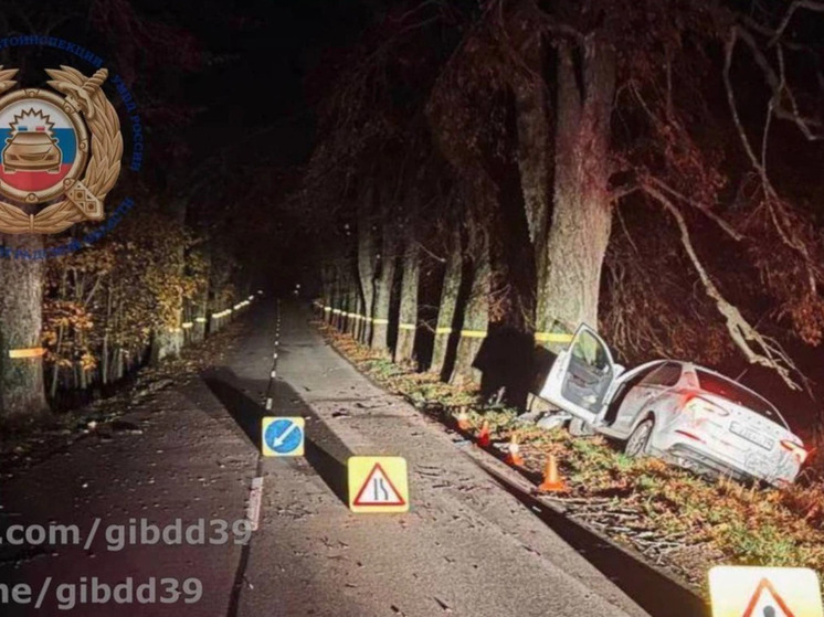 В Багратионовском районе ночью машина на высокой скорости впечаталась в дерево
