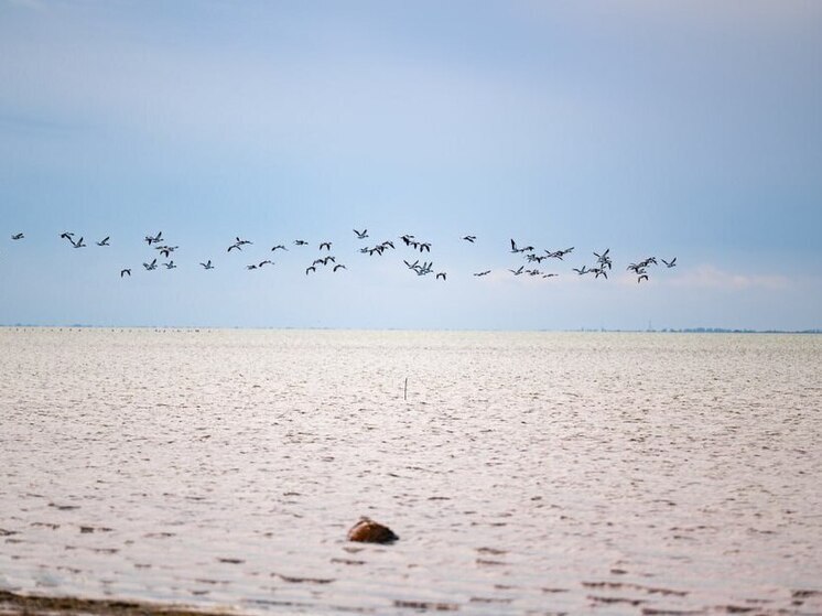 В Херсонской области 3 ноября пройдет без дождей при +15 градусах