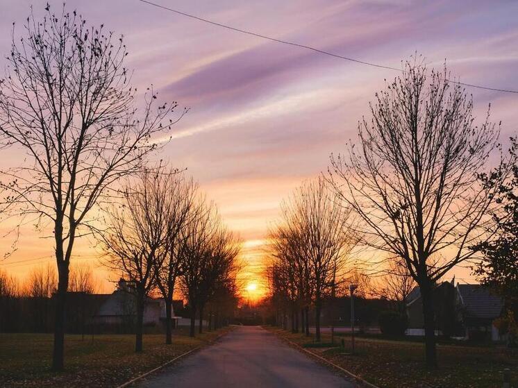 Антициклон принесет временное потепление в Липецкую область