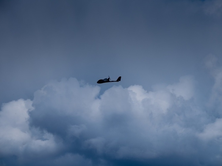 В Германии решили закупить барражирующие боеприпасы - беспилотники