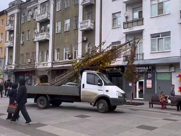 В Саратове высадили более 100 деревьев