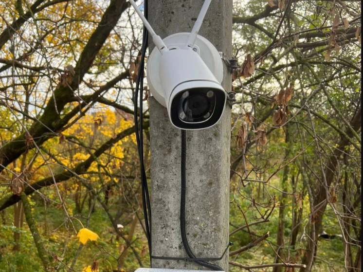 В Калининграде на улице Невского мусор будут выносить под прицелом видеокамеры