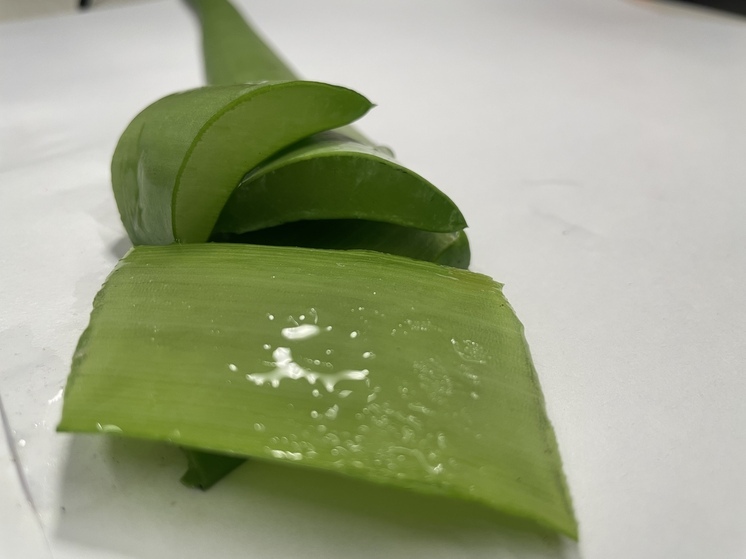 Косметолог Мухина: кожа стареет из-за потери влаги во время отопительного сезона