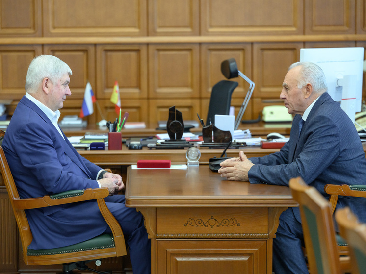 Ледовую арену и новые производства обсудили на встрече воронежского губернатора с главой Аннинского района