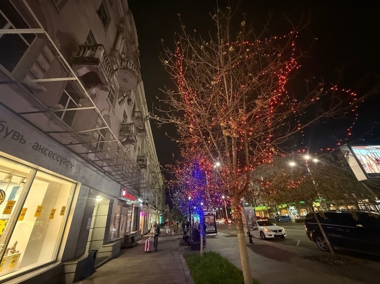 Ростовчане начали украшать улицы города в начале ноября