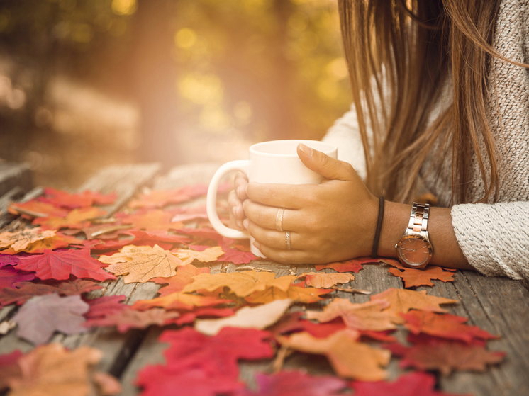 Опубликован прогноз погоды в Красноярске на понедельник, 3 ноября