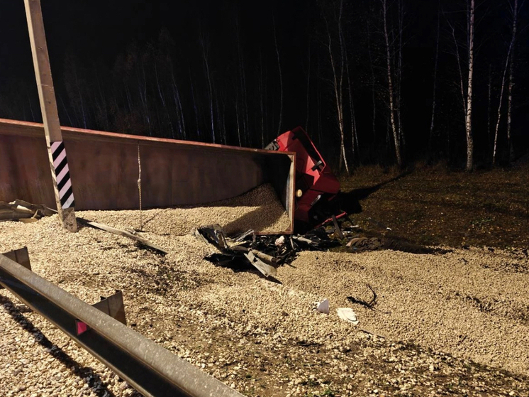 Бастрыкин потребовал доклад о смертельном ДТП в Орловской области