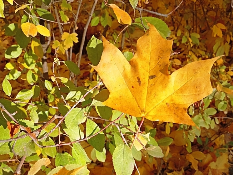 Сила магнитной бури 3 ноября составит 3 балла: не следует начинать новые дела