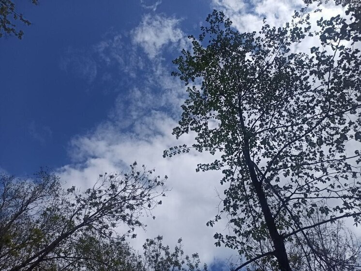 Ночные морозы пришли в Ивановскую область