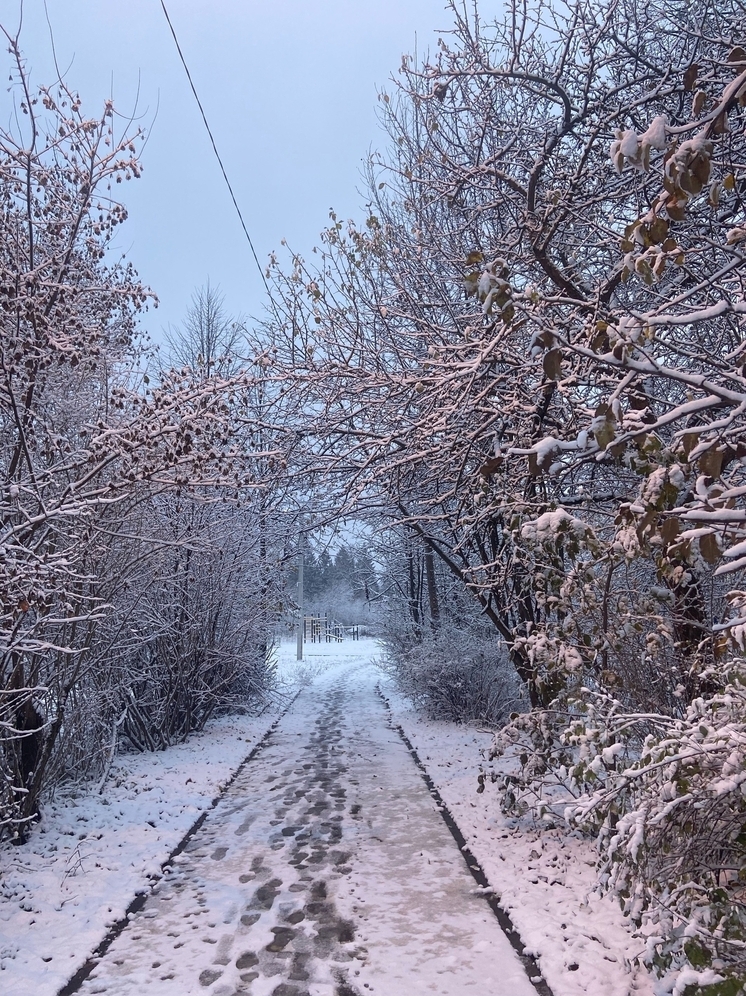 Синоптик Тишковец: зима в Центральной России наступит в конце ноября