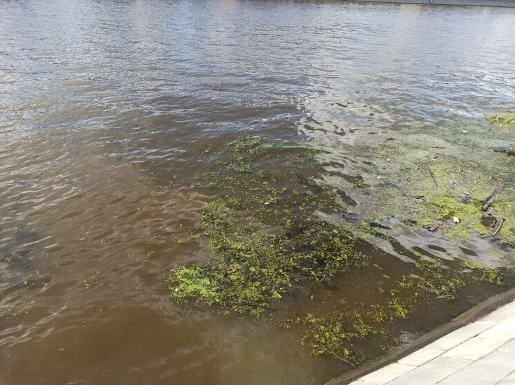 Владимирскую область раскачает на температурных качелях