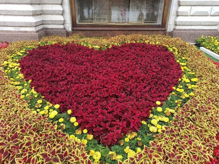 В Костромской области похолодает до -6 градусов